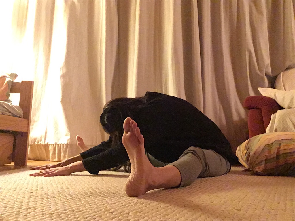 f:id:freemyself:20221211193641j:image