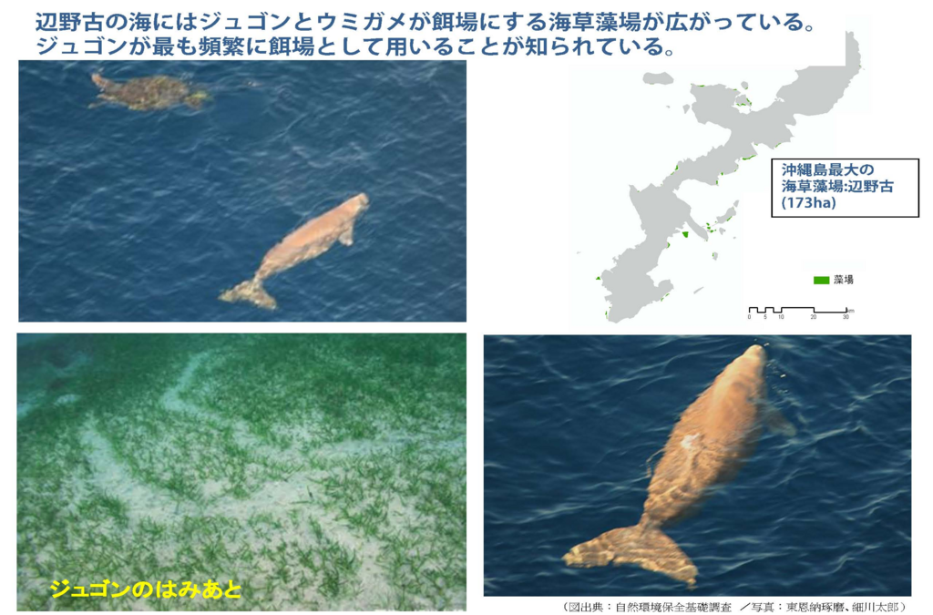 f:id:freeokinawa:20180811233007p:plain