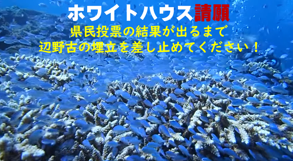 f:id:freeokinawa:20181211020721p:plain f:id:freeokinawa:20181211020721p:plain