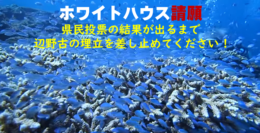 f:id:freeokinawa:20181212113343p:plain f:id:freeokinawa:20181212113343p:plain