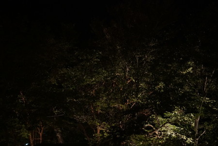 f:id:freeslow:20180919224104j:image f:id:freeslow:20180919224104j:image