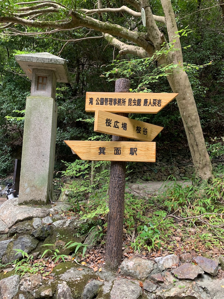 f:id:freeyuki:20201006154952j:image
