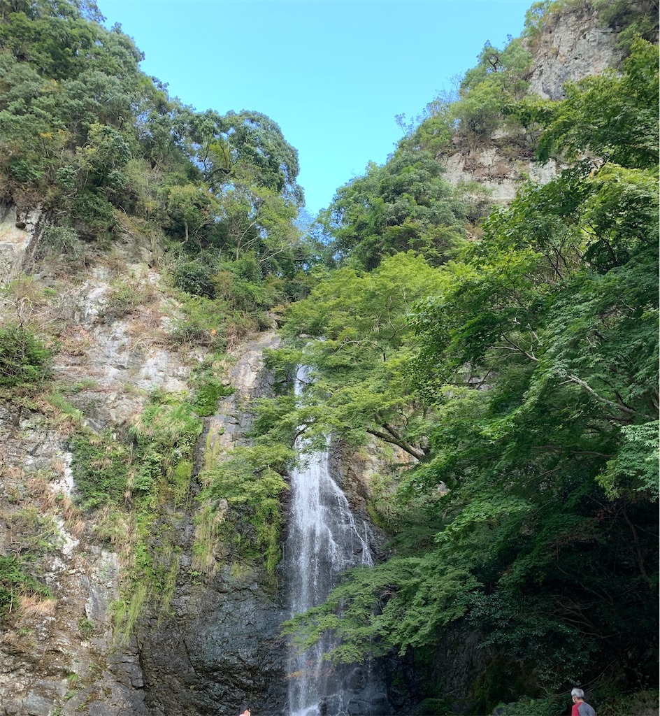 f:id:freeyuki:20201006155210j:image