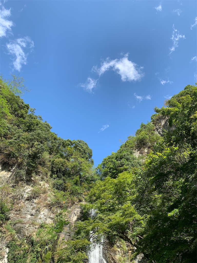 f:id:freeyuki:20201006155222j:image