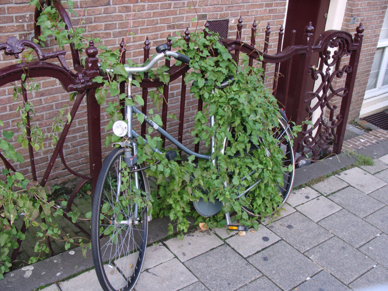 f:id:freierjpmann:20081006233015j:image:w300
