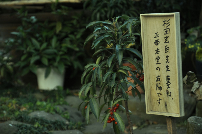 f:id:freierjpmann:20120203125508j:image:w300