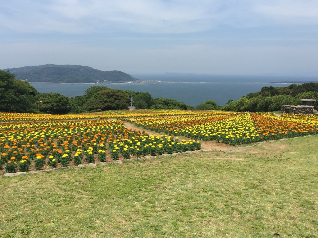 f:id:fresh-daily:20190123224829j:plain