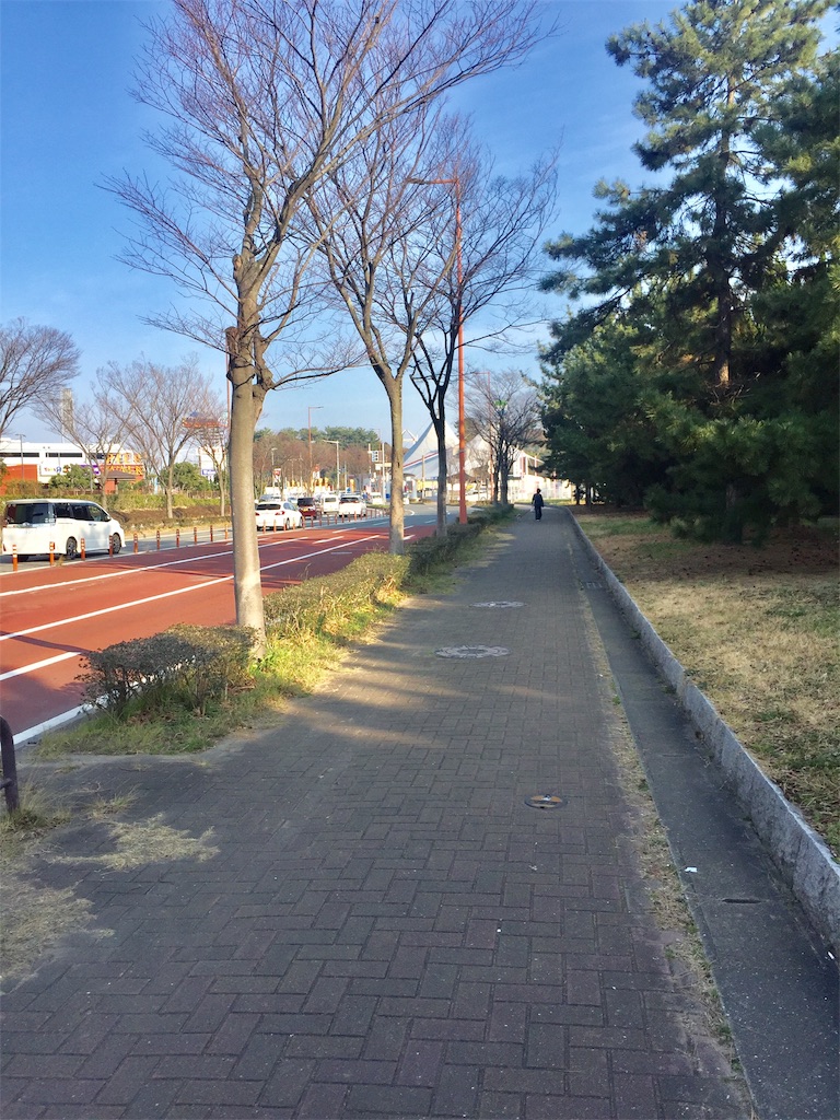 f:id:fresh-daily:20190225175020j:image