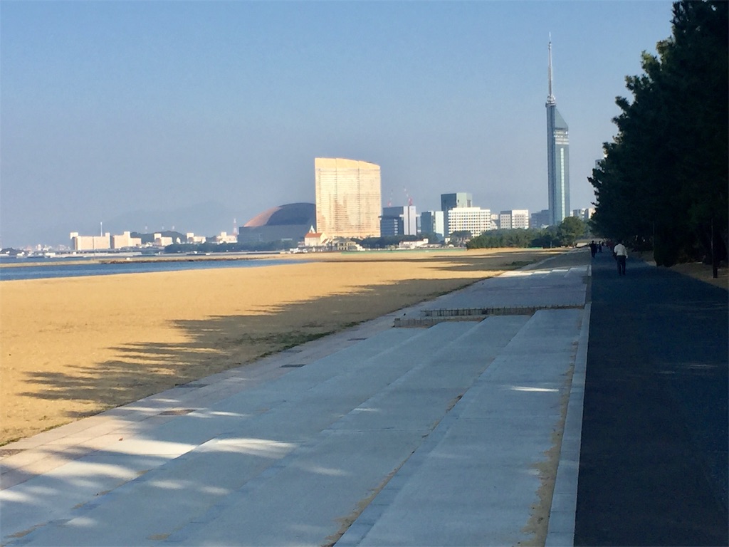 f:id:fresh-daily:20190225181218j:image