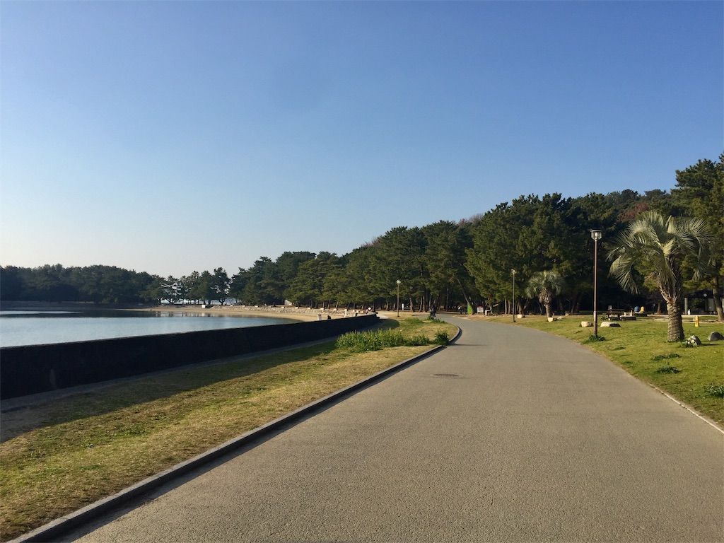 f:id:fresh-daily:20190225181427j:image