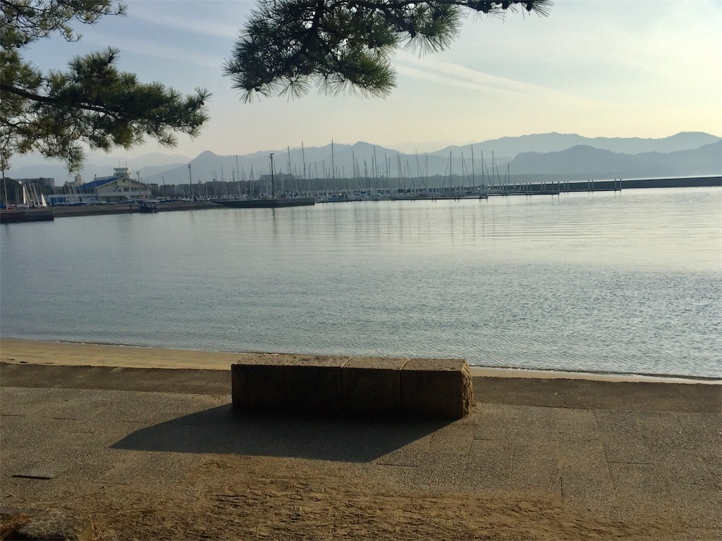 f:id:fresh-daily:20190225181504j:image