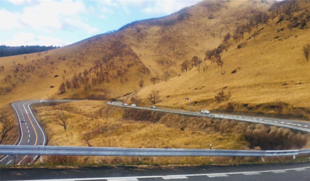 f:id:fresh-daily:20200103174132j:image