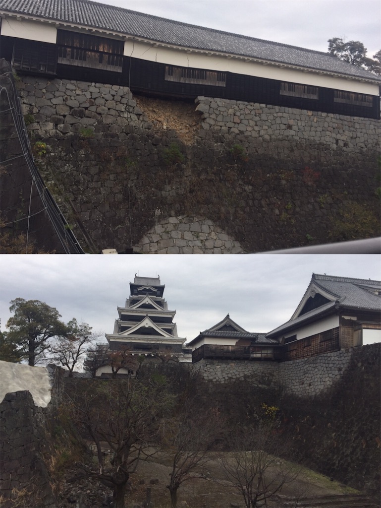 f:id:fresh-daily:20201129174416j:image