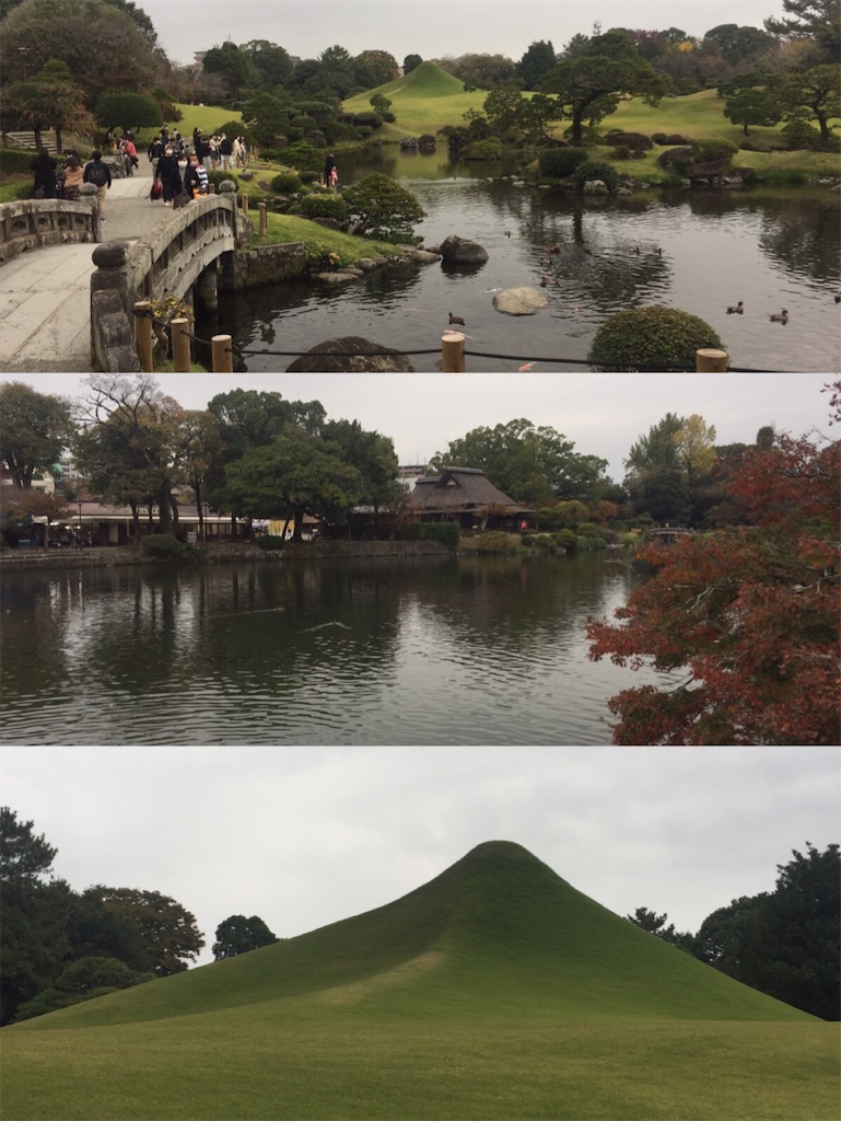 f:id:fresh-daily:20201129182209j:image