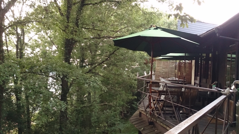 f:id:freshgreen-y:20130811135643j:image:w360