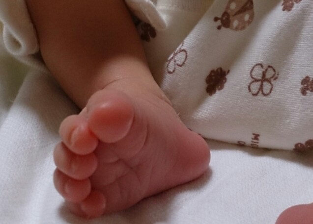 f:id:freshgreen-y:20130905131124j:image:w360