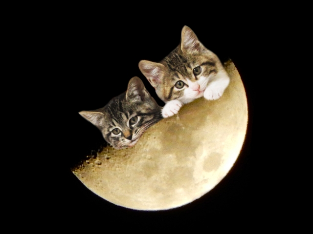 f:id:freshnew:20200405163249j:plain