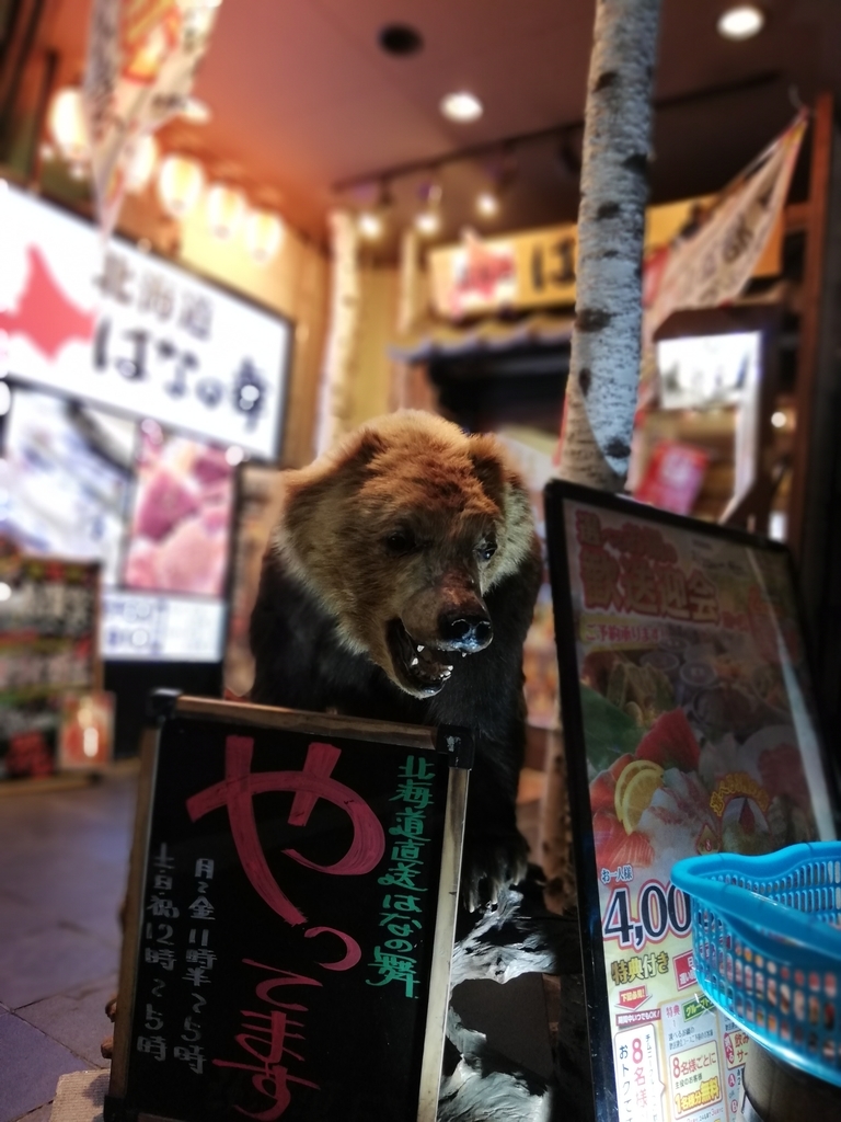 f:id:freshstart070930:20190309144927j:plain