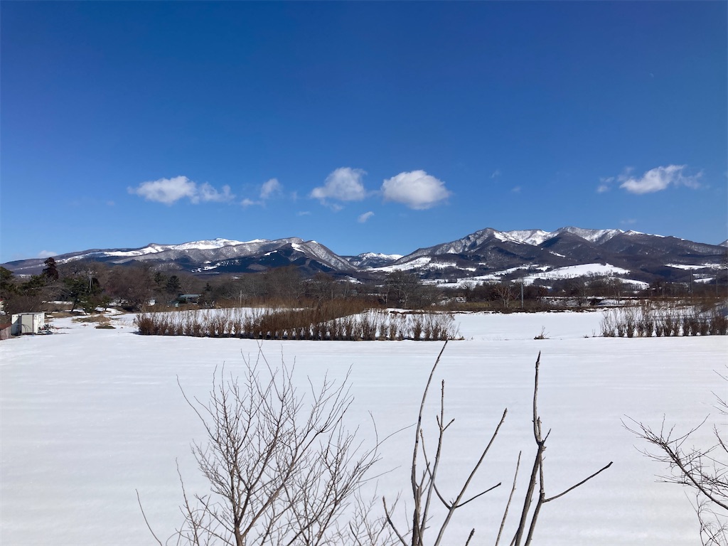 f:id:fretta2019:20220309111038j:image