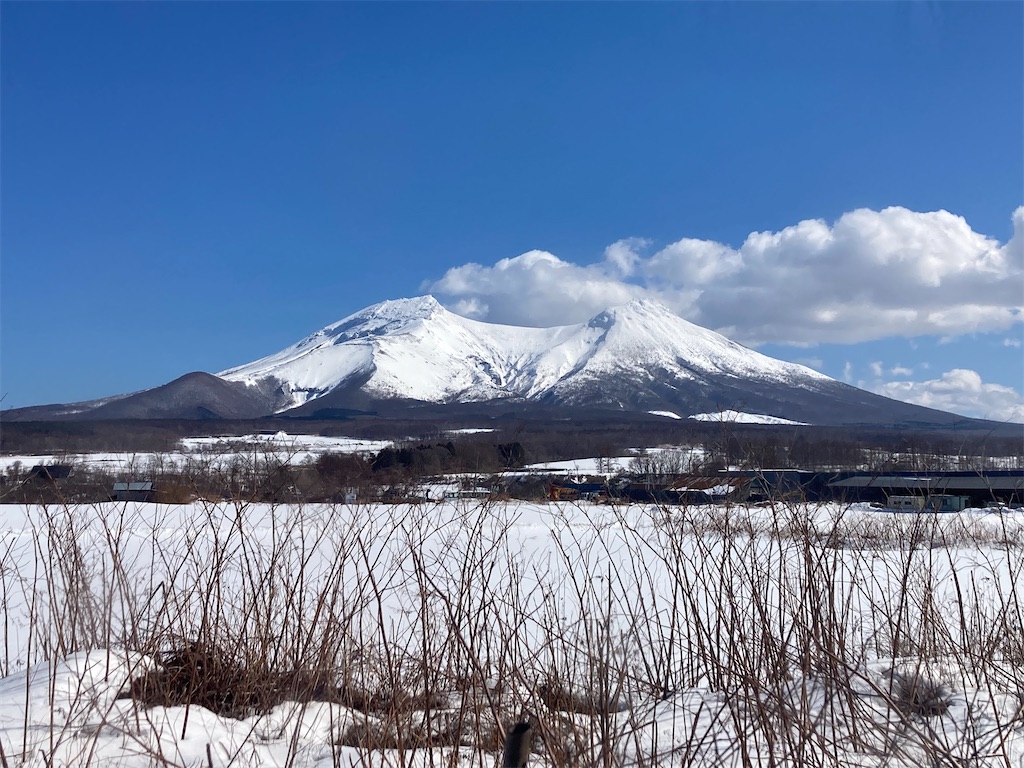 f:id:fretta2019:20220309124104j:image