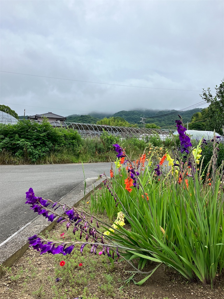 f:id:fretta2019:20230623070729j:image f:id:fretta2019:20230623070729j:image