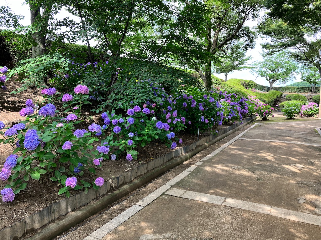 f:id:fretta2019:20230624115551j:image f:id:fretta2019:20230624115551j:image