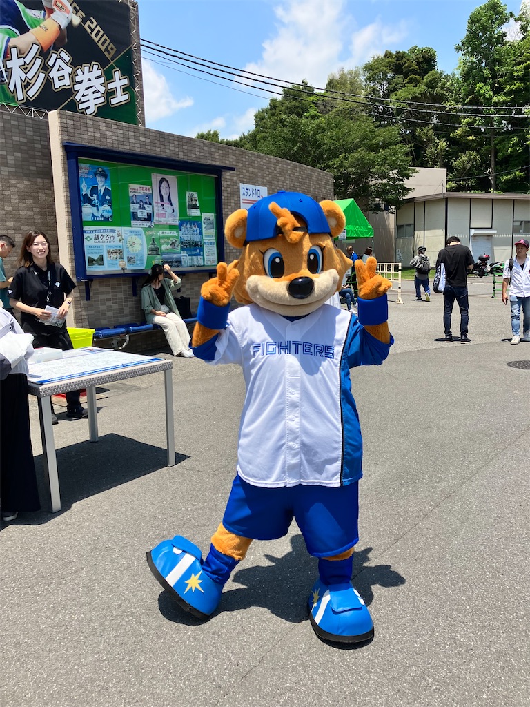 f:id:fretta2019:20230629124324j:image