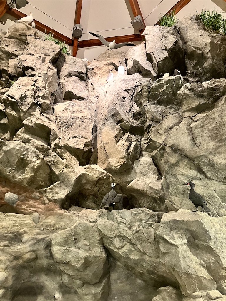f:id:fretta2019:20230809101158j:image
