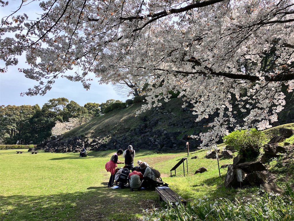 f:id:fretta2019:20240409094711j:image