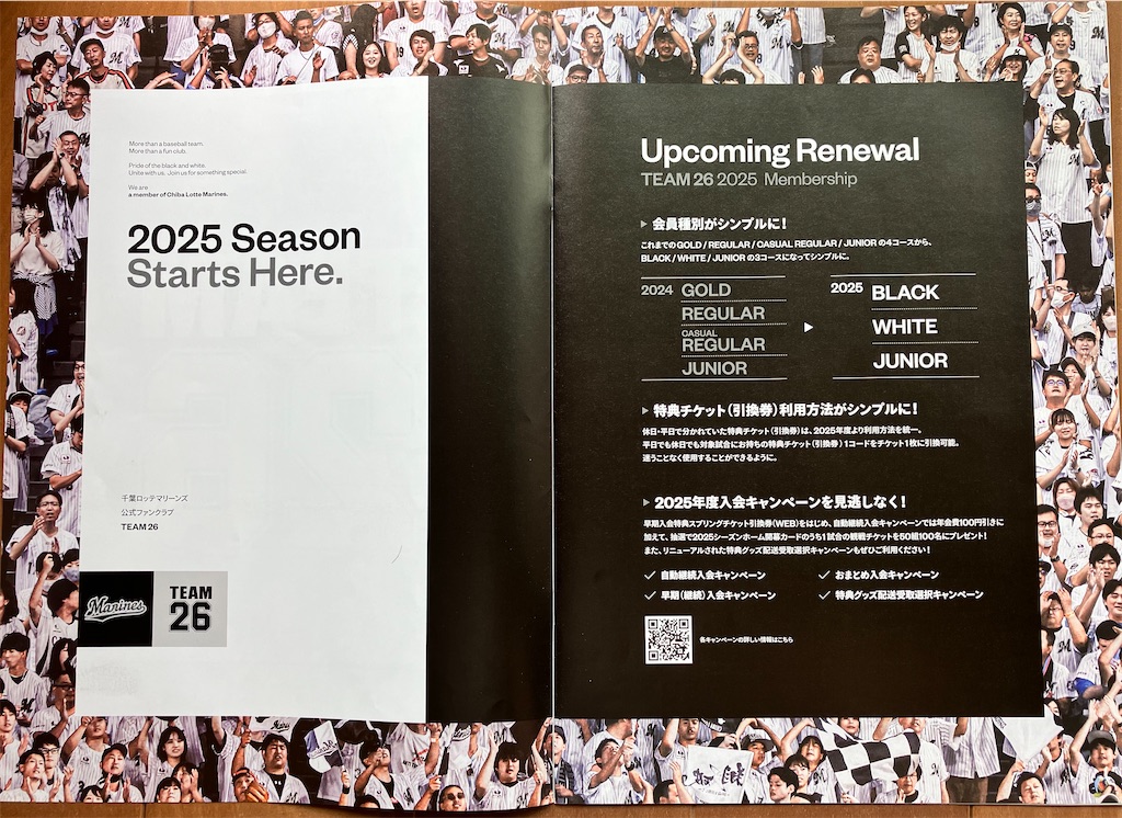 千葉ロッテWEB引換券9枚