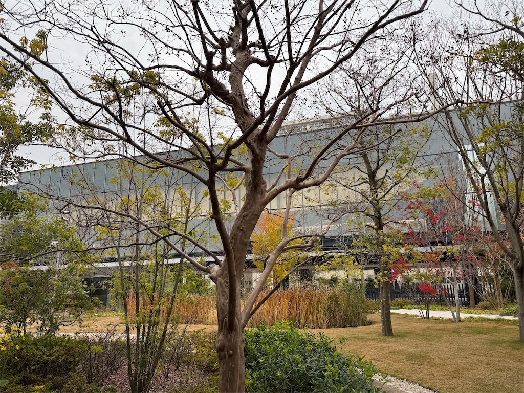 f:id:fretta2019:20251129053317j:image