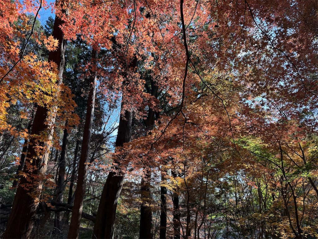 f:id:fretta2019:20251207100042j:image