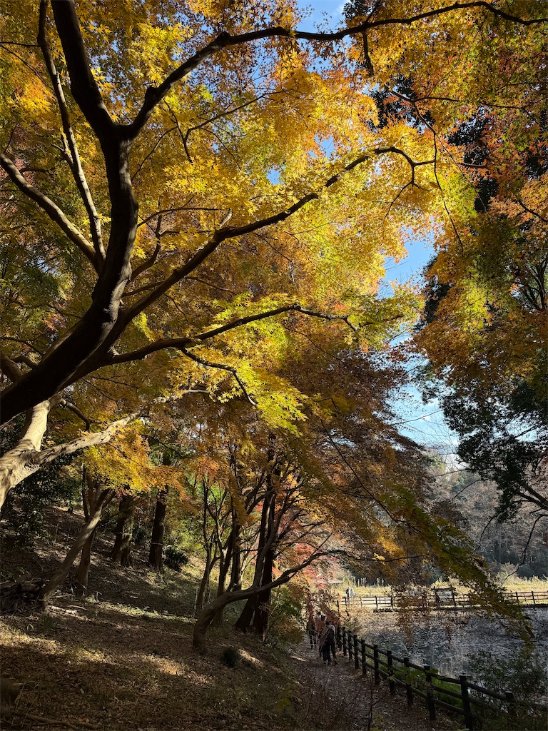 f:id:fretta2019:20251207100112j:image
