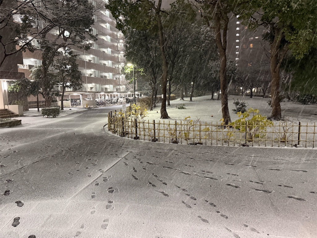 f:id:fretta2019:20260103064200j:image