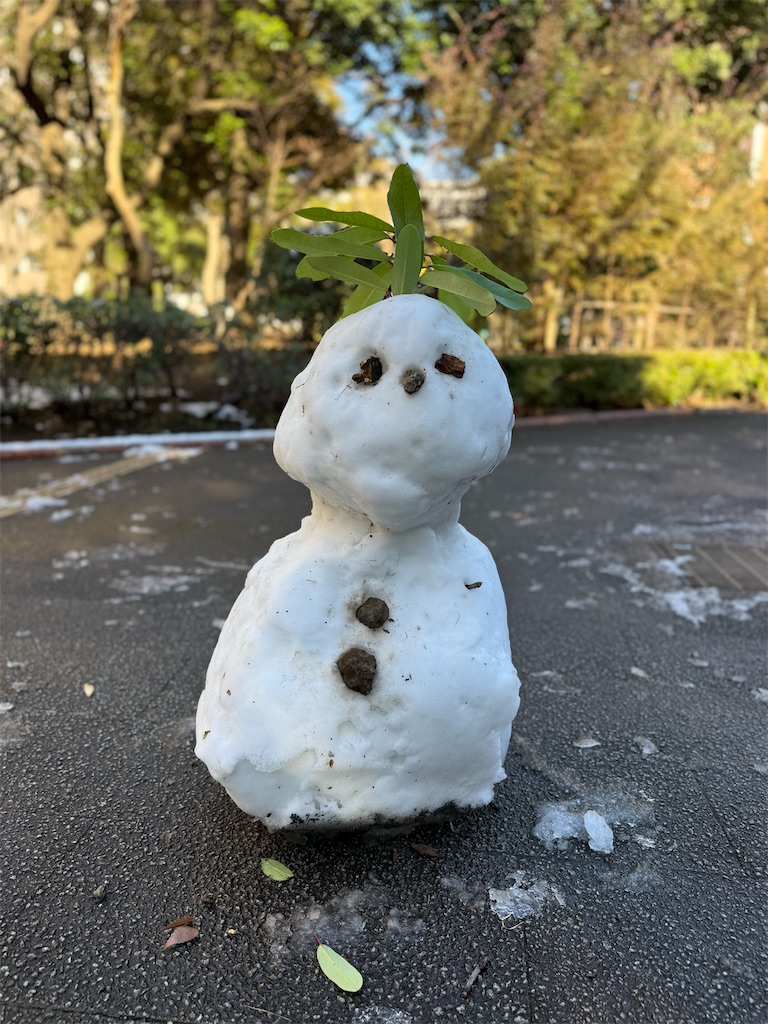 f:id:fretta2019:20260106153105j:image