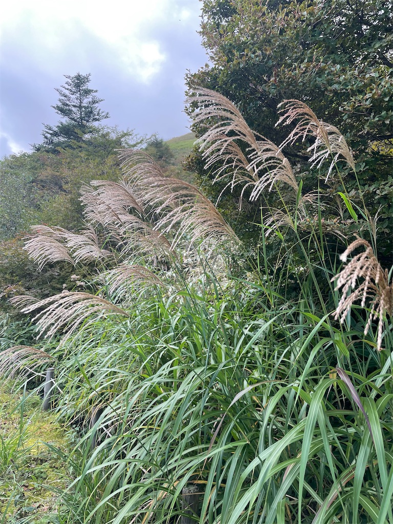 f:id:freudelab:20251001091726j:image f:id:freudelab:20251001091726j:image