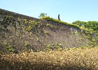 f:id:frgregory:20191106215416j:image