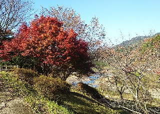 f:id:frgregory:20191119233220j:image
