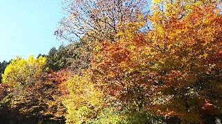 f:id:frgregory:20191120224439j:image