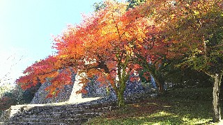 f:id:frgregory:20191120224507j:image