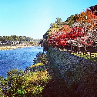 f:id:frgregory:20191120224520j:image