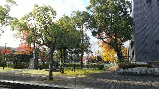 f:id:frgregory:20191123224820j:image