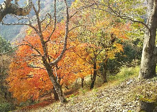 f:id:frgregory:20191126001510j:image