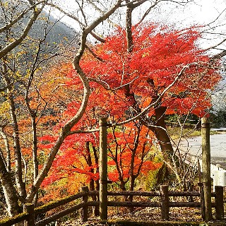 f:id:frgregory:20191126001519j:image