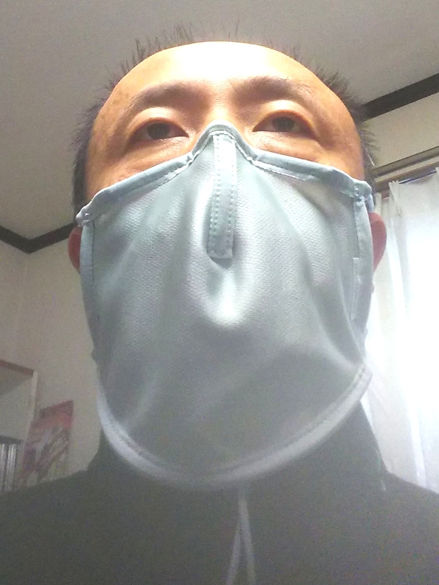 f:id:frgregory:20201022200135j:plain