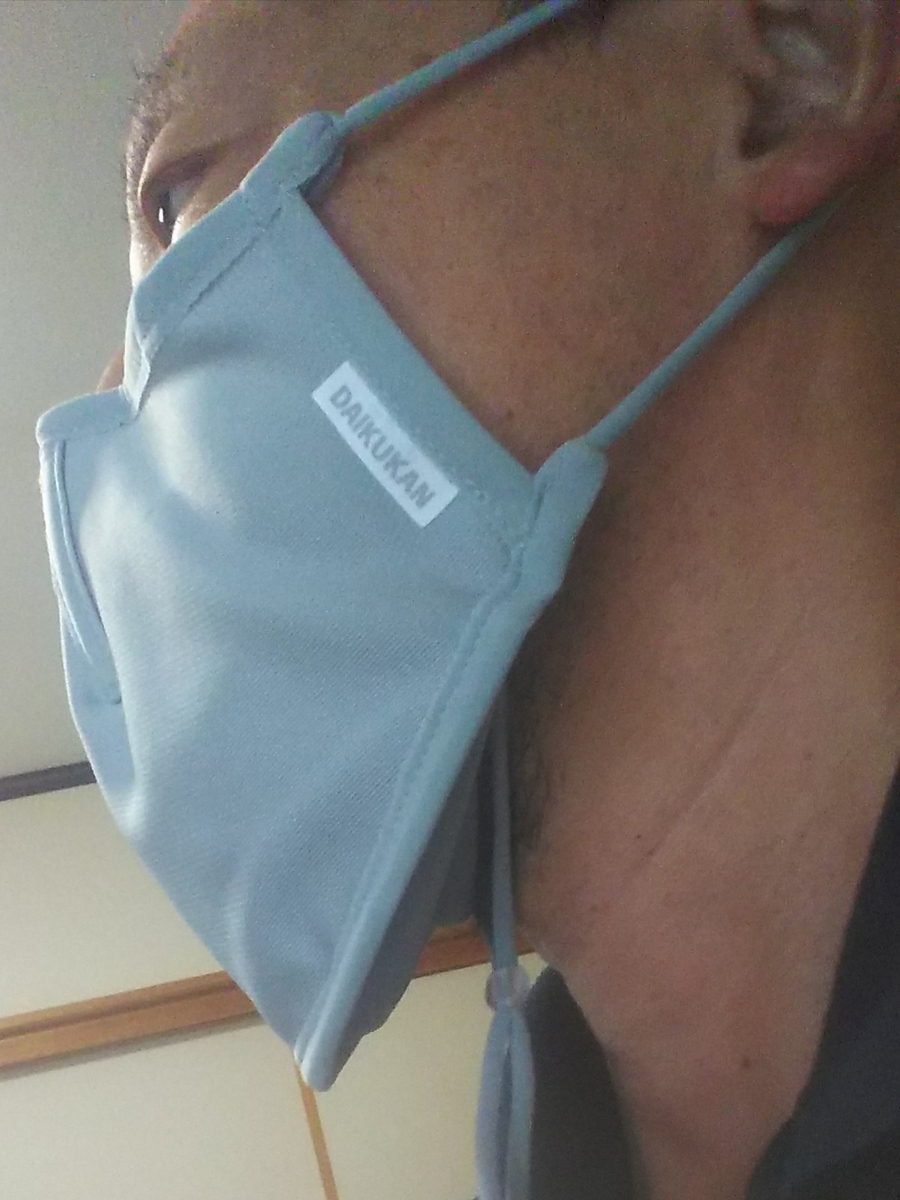 f:id:frgregory:20201022200152j:plain