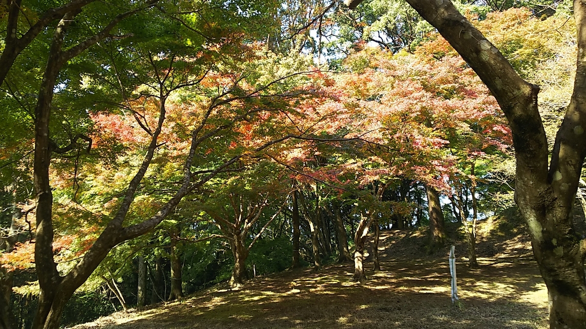 f:id:frgregory:20201111190335j:plain