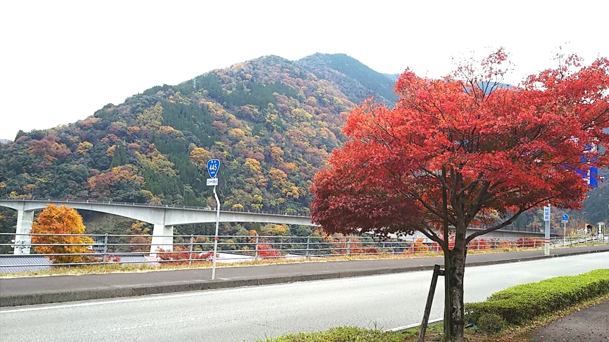 f:id:frgregory:20201116203701j:plain