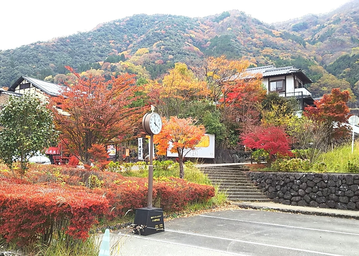 f:id:frgregory:20201116203732j:plain