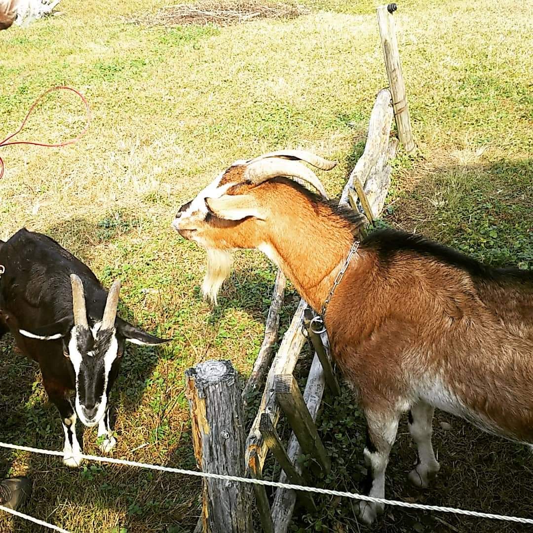 f:id:frgregory:20201126181733j:plain